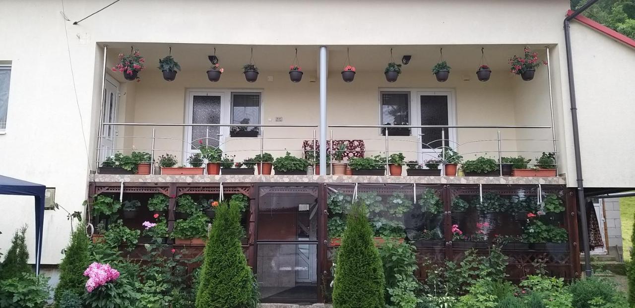 Casa Cosmina Arieseni Villa Exteriör bild