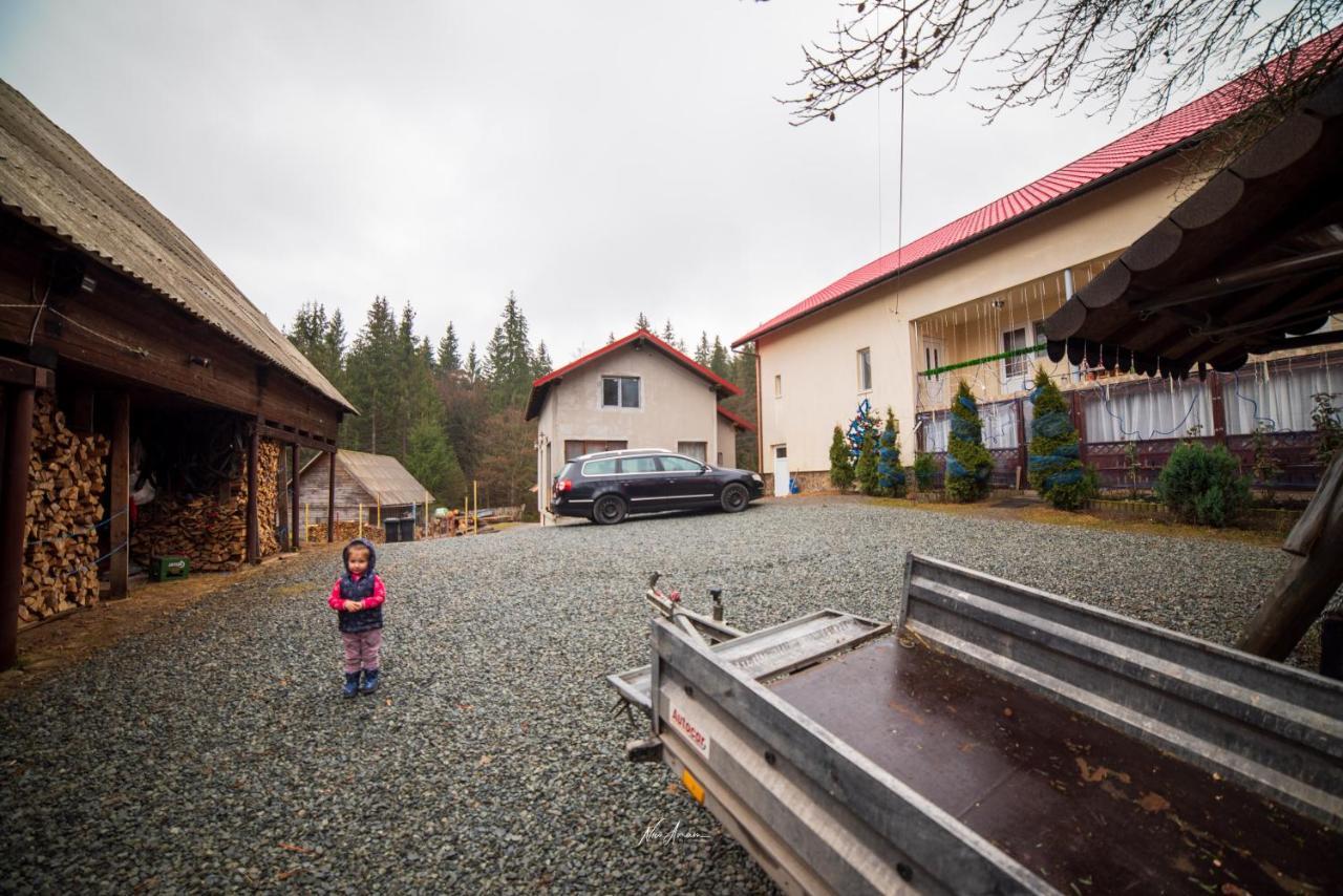 Casa Cosmina Arieseni Villa Exteriör bild