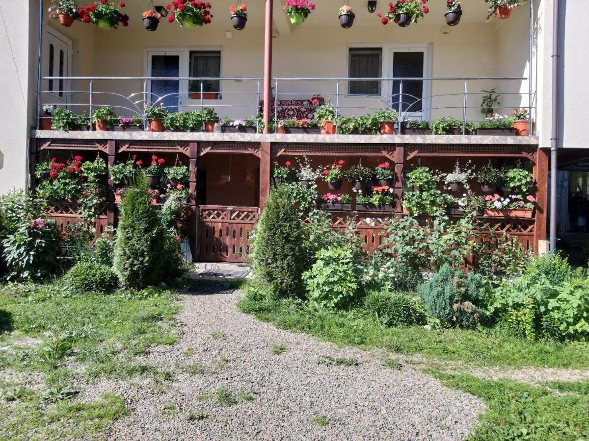 Casa Cosmina Arieseni Villa Exteriör bild